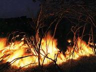Parco del Pollino: sono  83 gli incendi